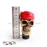 سردنده کله اسکلت با دستمال سر قرمز