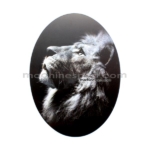استیکر سه بعدی شیر