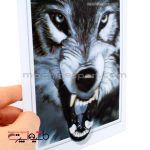 استیکر سه بعدی گرگ خاکستری