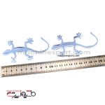 آرم اسپرت جفت مارمولک خانگی lizard