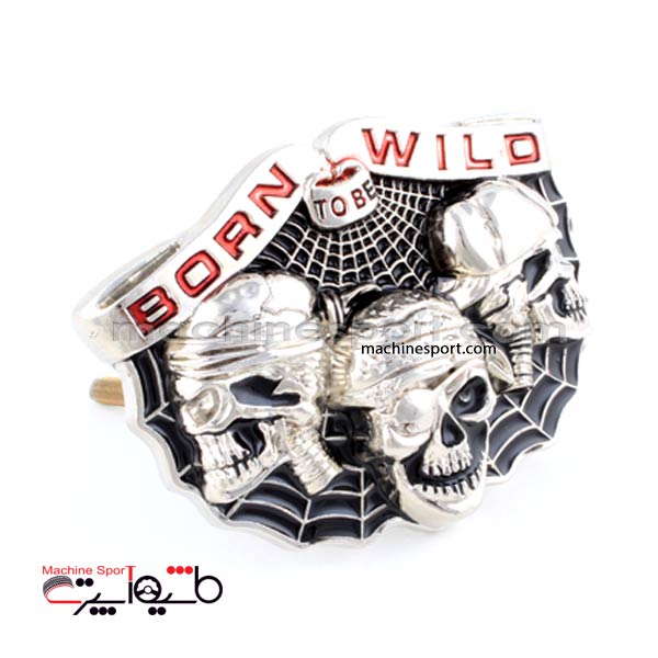 آرم جلو پنجره born to be wild