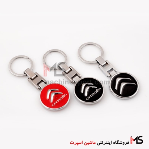 جاسوئیچی سیتروئن سه بعدی Citroen