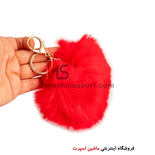 جاسوئیچی خزدار قلبی
