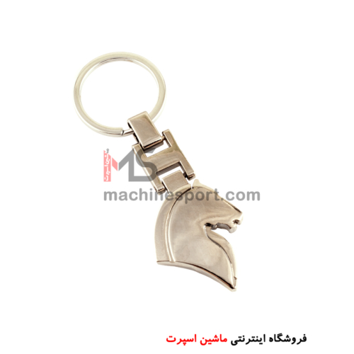 جاسوئیچی سمند