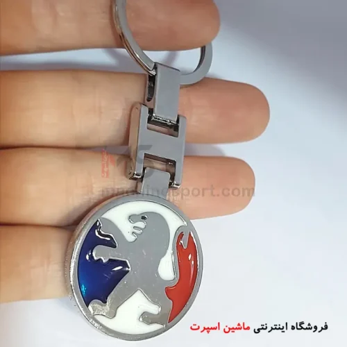 جاسوئیچی پژو سه رنگ پرچم فرانسه